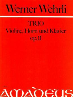 Trio op. 11 en ré mineur 