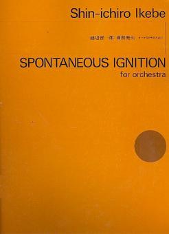 Spontaneous Ignition 