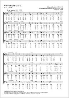 Choral Collection Mozart - Haydn Vol. 5 