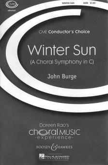 Winter Sun 