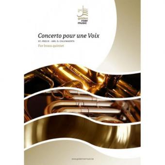 Concerto pour une voix 