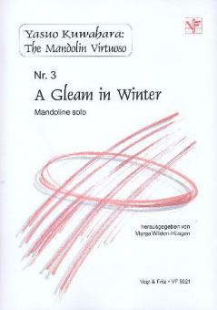 A Gleam in Winter 