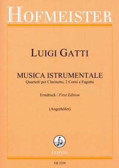 Musica Istrumentale 