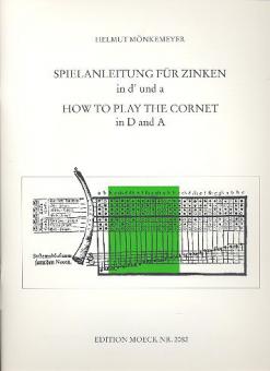 Spielanleitung für Zinken in D 
