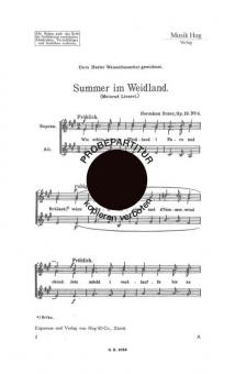 Summer im Weidland 