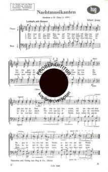 Nachtmusikanten 