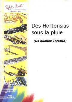 Des Hortensias sous la pluie 
