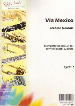 Via Mexico 
