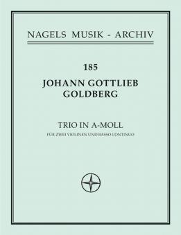 Sonate en trio pour deux violons et basse continue en la mineur 