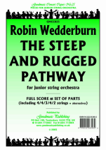 Steep and Rugged Pathway 