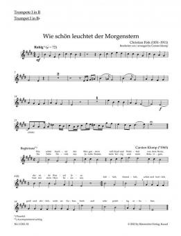 organ plus brass, volume II: cinq préludes de choral du romantisme 