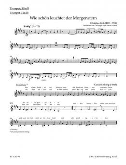 organ plus brass, volume II: cinq préludes de choral du romantisme 
