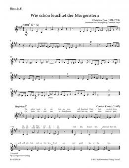 organ plus brass, volume II: cinq préludes de choral du romantisme 