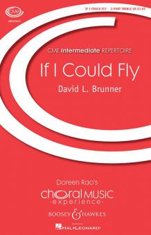 If I Could Fly 