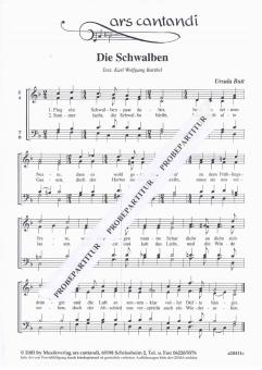 Die Schwalben 