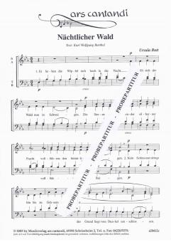 Nächtlicher Wald 