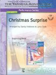 Christmas Surprise 