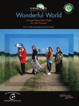 Wonderful World 