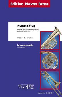 Hummelflug 
