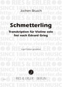 Schmetterling 