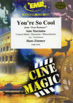 You're So Cool Download