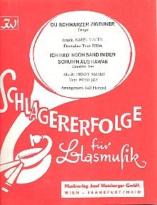 Du schwarzer Zigeuner 
