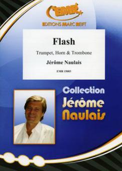 Flash Standard