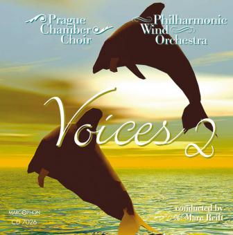 Voices 2 