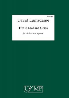 Fire in Leaf And Grass 