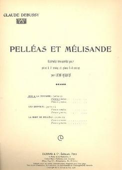 Pelleas Duo à la Fontaine Piano 