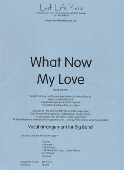 What Now My Love 