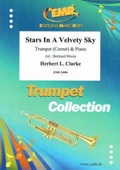 Stars in a Velvety Sky Standard