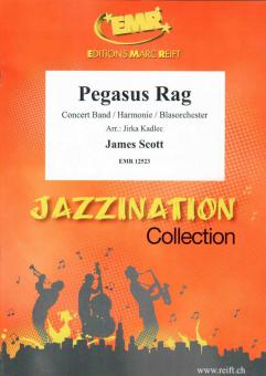 Pegasus Rag Standard