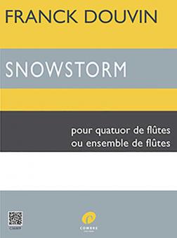 Snowstorm 