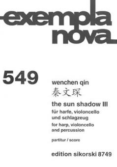 The Sun Shadow III 