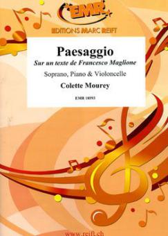 Paesaggio Standard