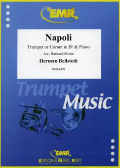 Napoli Standard
