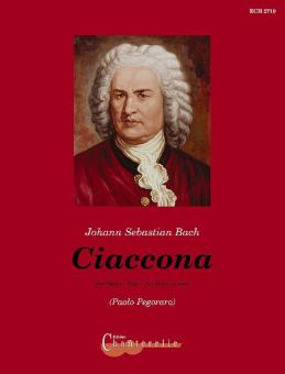 Ciaccona dalla Partita no. 2 BWV 1004 Standard