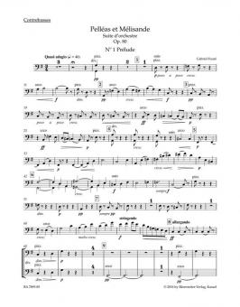 Pelléas et Mélisande op. 80 N 142b 