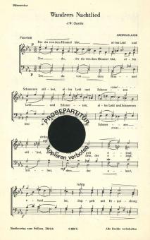 Wanderers Nachtlied 