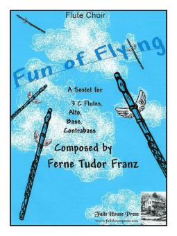 Fun of Flying 