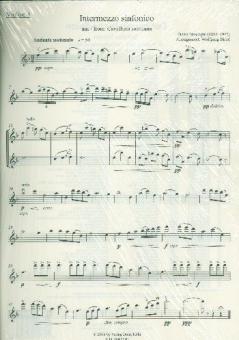Intermezzo sinfonico 