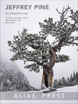 Jeffrey Pine 
