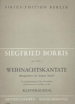 Morgenstern der finstern Nacht 