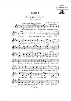 In der Ferne 
