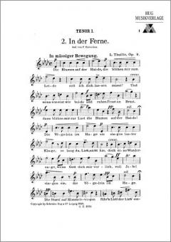 In der Ferne 
