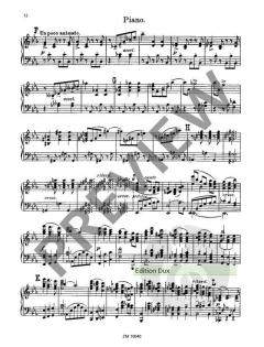 Concerto c-Moll op. 35 von Albert Zabel 