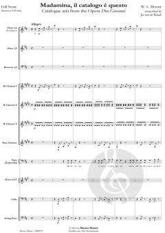 Madamina, il catalogo è questo von Wolfgang Amadeus Mozart 
