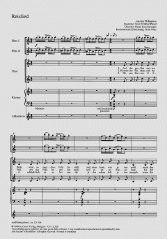 Das Reisfeld (Gerd Witte) 