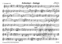 Schreiner Galopp 